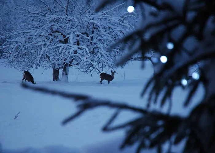 Madsa Recreational Center